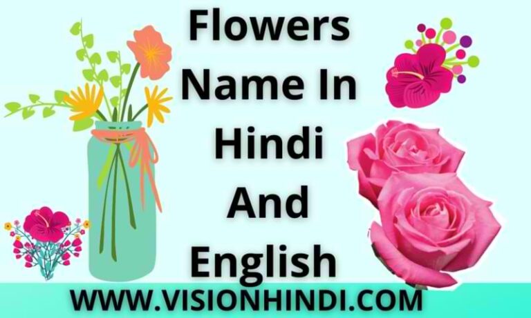 Flowers Name In Hindi And English With Pictures