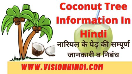 Coconut tree Information In Hindi