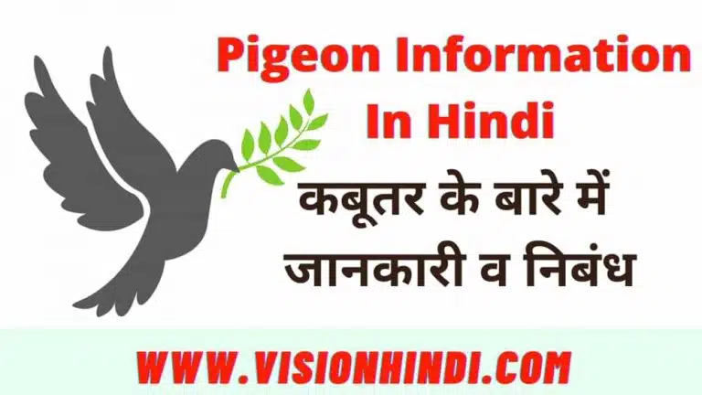 Information About Pigeon in hindi