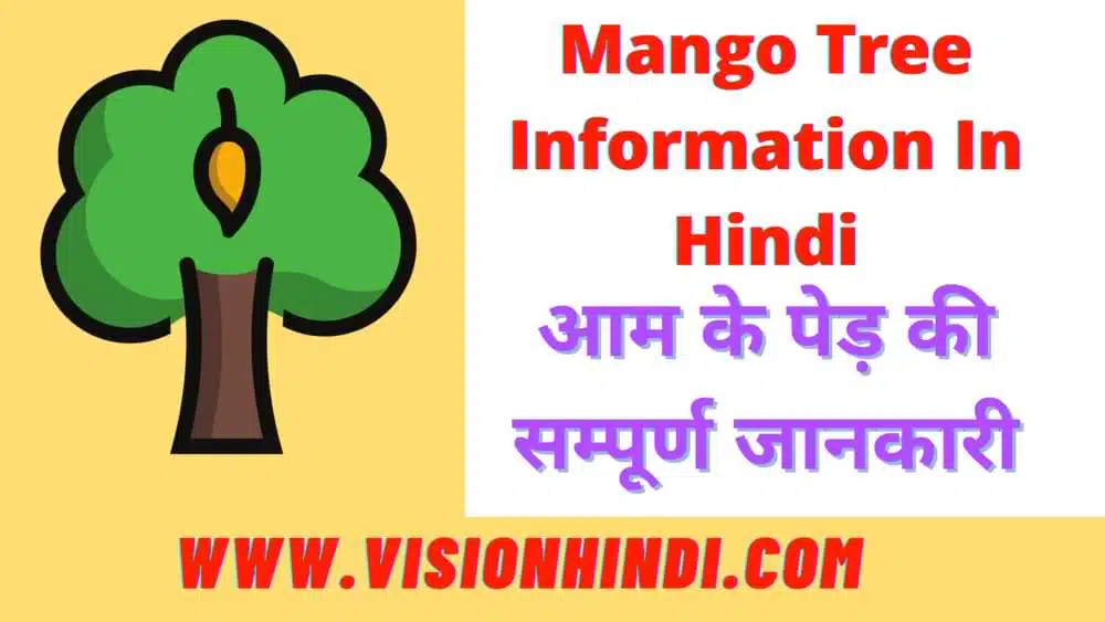 Mango Tree Information In Hindi